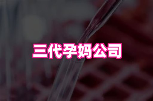 国际助孕网 3