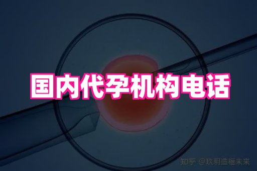 国际助孕网 4
